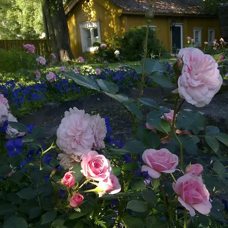 Degerby Bed & Breakfast 3*